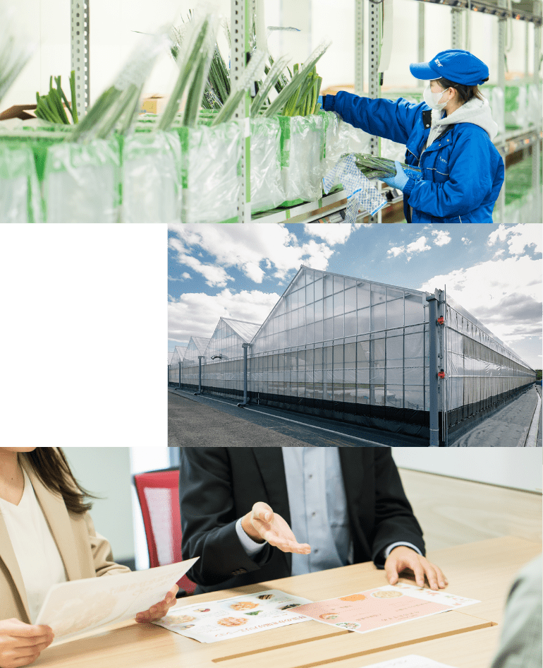 採用情報