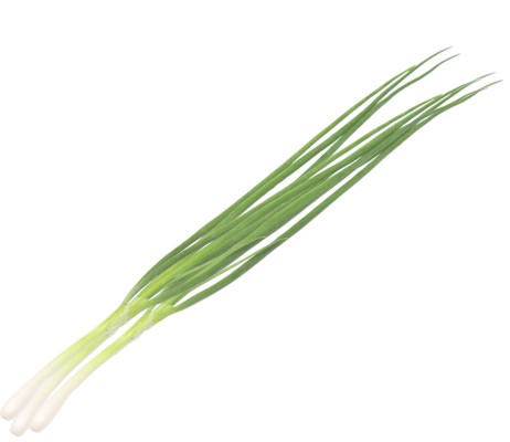 青葱