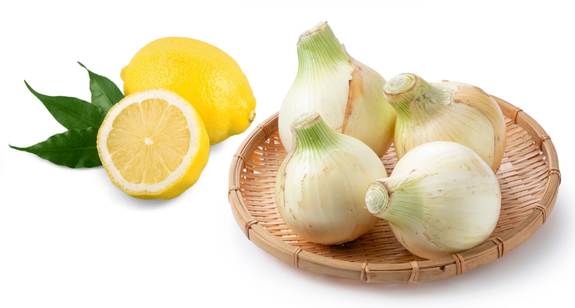 使用した野菜の特徴