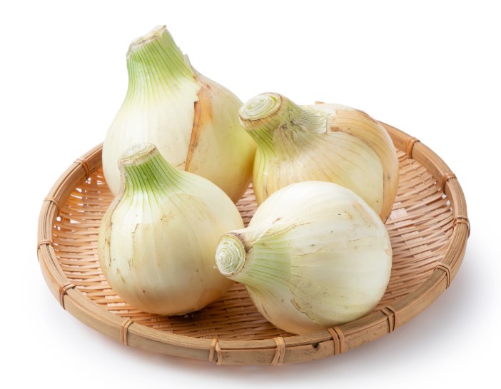 新玉ねぎ