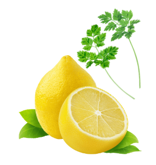 使用した野菜の特徴