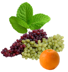 使用した野菜の特徴