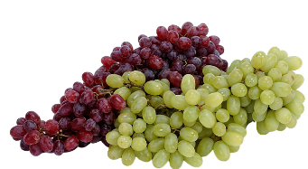 輸入ぶどう