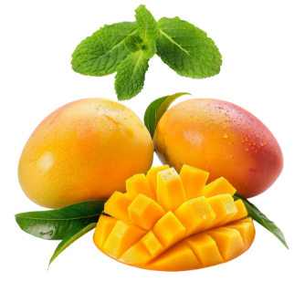 使用した野菜の特徴