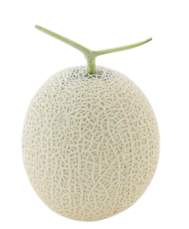 使用した野菜の特徴