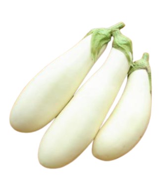 使用した野菜の特徴
