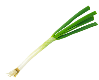 使用した野菜の特徴